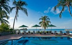 an outdoor swimming pool surrounded by palm trees