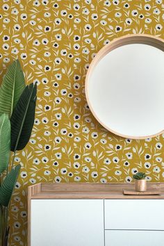 a mirror on the wall next to a plant and dresser with a potted plant