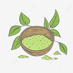 green powder in a basket with leaves on the side, illustration, cartoon png and psd