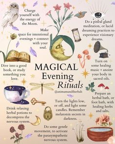 Nature Affirmations, Hearth Magic, Hearth Witch, Pagan Practices, Planting Plants, Witch Things, Evening Rituals, Relaxing Candles, Magia Das Ervas