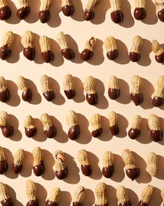 many different types of nuts arranged on a wall