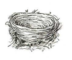 an ink drawing of a bird nest