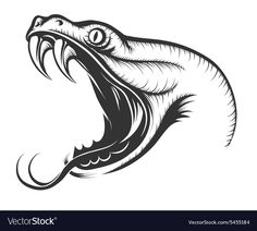 the head of a snake with open mouth and sharp teeth, black and white drawing