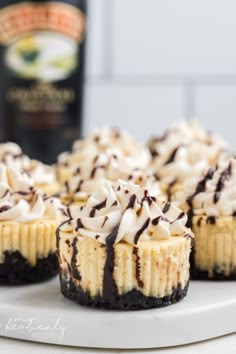 mini cheesecakes topped with whipped cream and chocolate