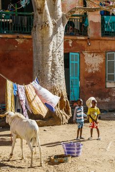 two young boys are standing in front of a building with laundry hanging on the clothesline