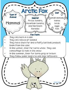 an arctic fox worksheet with instructions