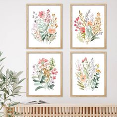 three framed floral art prints on a wall above a crib with a plant in the foreground