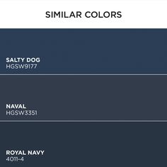 the navy colors are similar to each other in this graphic style, but with different variations