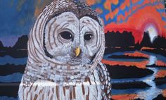 an owl painted on the side of a building