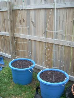 two blue buckets with plants in them on the ground near a fence and a black cat