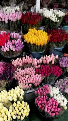 many different colored tulips are arranged in baskets