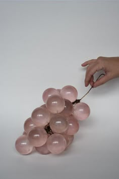 a bunch of pink grapes being held by someone's hand over the top of them