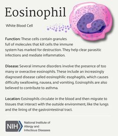 an info sheet describing the benefits of eosmophii