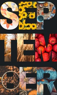 the cover of a book with images of autumn and fall leaves, pumpkins, apples, sunflowers