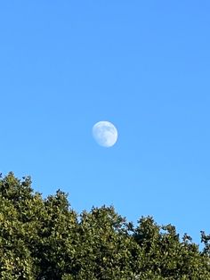 the moon is seen through the trees on a clear day