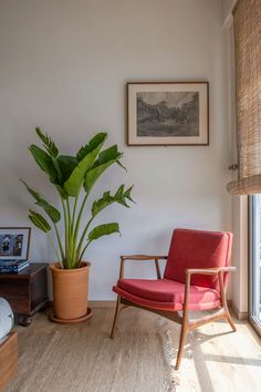 a red chair sitting next to a large plant in a living room under a window