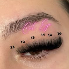 Cat Eye Lash Extensions Volume Map, Long Cat Eye Lash Extensions Map, Fox Eye Eyelash Extensions Mapping, Full Volume Lash Extensions Map, Lash Mapping Ideas, Volume D Curl Lash Extensions, Mega Volume Hybrid Lash Extensions, Cat Eye Lash Extensions With Color, Baddie Eyelash Extensions