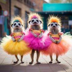 three meerkats dressed in colorful costumes standing next to each other on a sidewalk