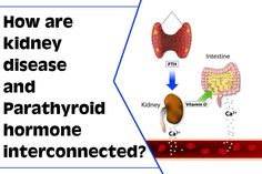 Parathyroid Hormone, Parathyroid Disease, Loss Of Balance, Kidney Damage, Memory Problems, Lack Of Energy, Kidney Health, Signs And Symptoms