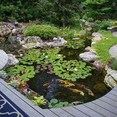 Large Pond Kit 21x26 with SLD 5000-9000-Pond Kits-AquascapePRO-Play It Koi Backyard Ecosystem, Pond Construction, Pond Kits, Fish Pond Gardens, Patio Grande, Garden Pond Design, Backyard Pond, Outdoor Water Features, Fountains Backyard