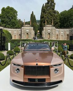 a fancy car is parked in front of some bushes and trees with people looking at it