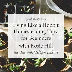 several potted plants with the words living like a hobbit homeseading tips for beginners with rose hill