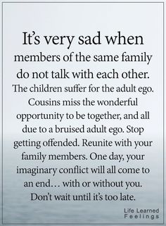 Quotes About Disowning Family, Family Turns Their Back On You, When Your Family Doesnt Like Your Spouse, Family Doesnt Support Me, Family Not Speaking Quotes, Family Disconnect Quotes, So Called Family Quotes, Keeping Secrets Quotes Families, Left Out Of The Family