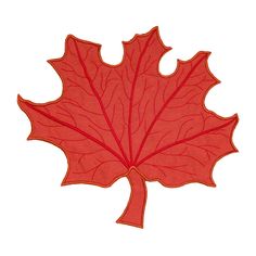 a red maple leaf on a white background