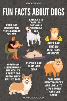 an illustrated poster with different types of dogs