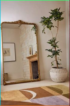 a potted plant sitting in front of a mirror on the floor next to a fireplace