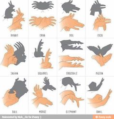 an image of hand gestures on the app