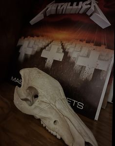 a large animal skull sitting on top of a hard wood floor next to a sign