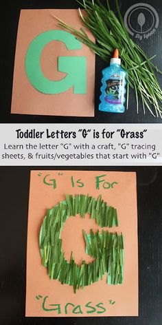 the letter g is for grass made out of green grass and glue next to it