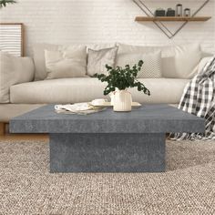 a living room with a couch, coffee table and potted plant on the floor