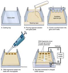 an illustration shows the process of making glass slippers and how they are used to make them