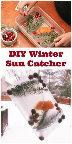 kids are making winter sun catchers with berries and pine cones on the table in the snow