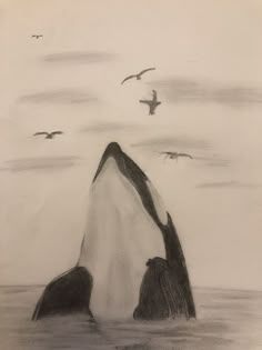 a drawing of an orca whale in the ocean