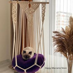 a cat is sitting in a hammock with a purple pillow on the floor