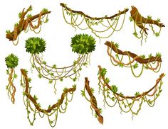 an image of plants and vines on a white background