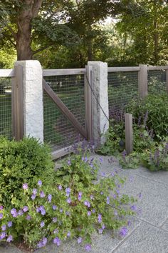 a fenced in garden with purple flowers and greenery