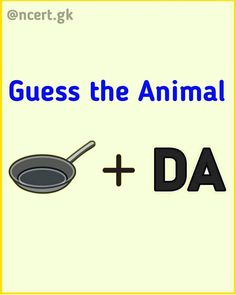 the words guess the animal and dad are in front of an image of a frying pan