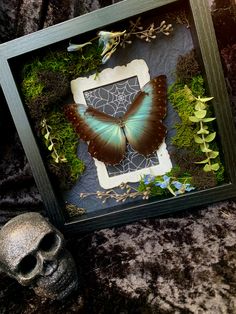 a shadow box with a butterfly in it and a skull on the ground next to it