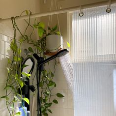 a shower head with plants growing out of it next to a window in a bathroom