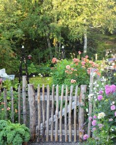 a garden filled with lots of flowers next to a wooden fence