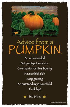 an advertisement for pumpkins with the words advice from a pumpkin written in orange and green