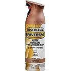 a bottle of brown paint on a white background with the words, best formula universal