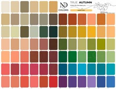 a color chart with different shades and colors