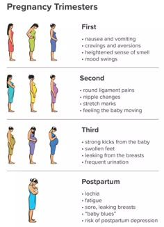 the stages of pregnant women's breasting and how they can help them with their baby