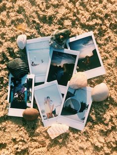 polaroid photos and seashells lay on the sand