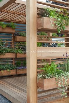 a wooden deck with plants growing on it